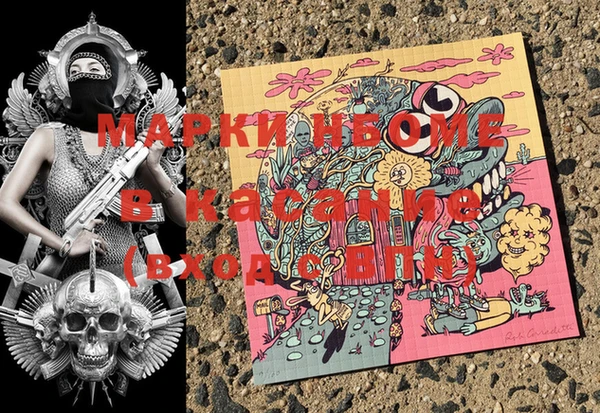 сатива Абинск