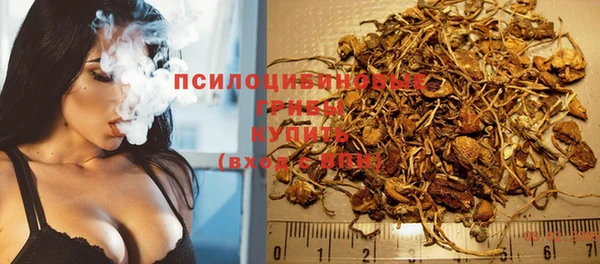 сатива Абинск