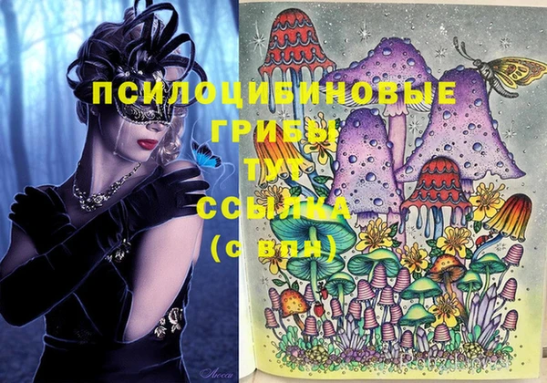 ECSTASY Абдулино