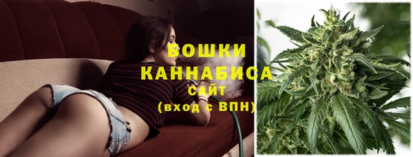 сатива Абинск