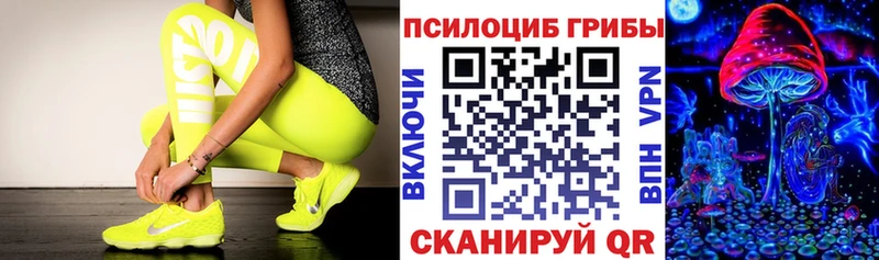 Псилоцибиновые грибы Cubensis  где купить   Тарко-Сале 